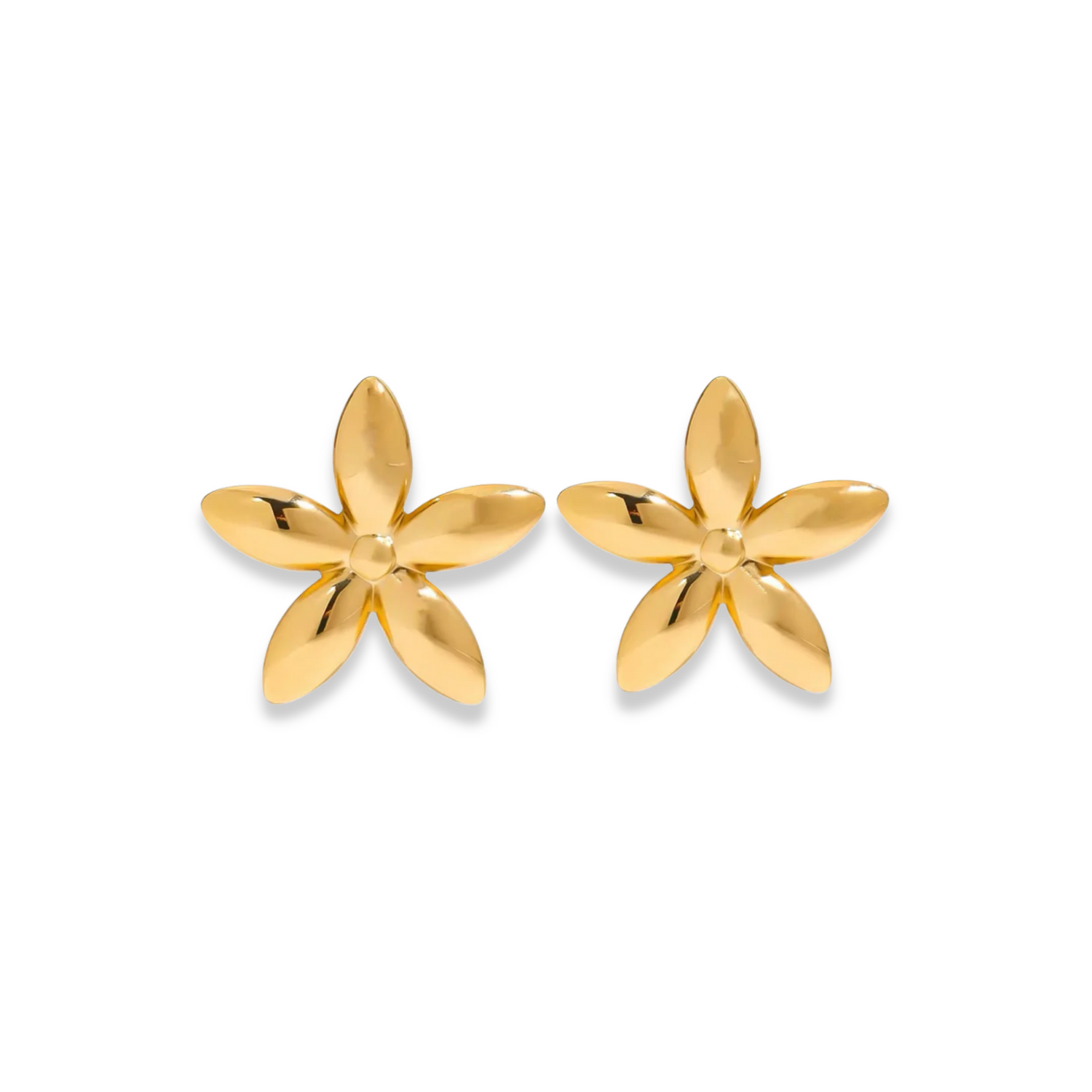 Boucles d'Oreilles Tiare
